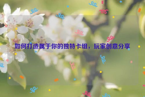 如何打造属于你的独特卡组，玩家创意分享